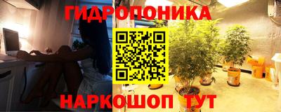 apvp Пенза